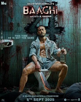 Бунтарь 4 / Baaghi 4