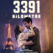3391  / 3391 Kilometre