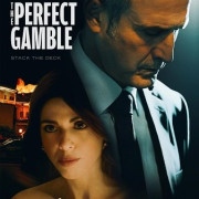   / The Perfect Gamble