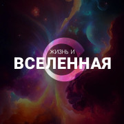    / Life & The Universe  