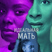   / The Perfect Mother