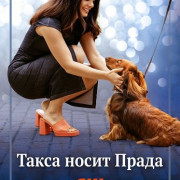 ���� � ������ / Paws in the City