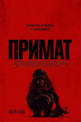 Примат / Primate
