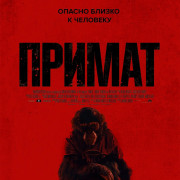 ������ / Primate