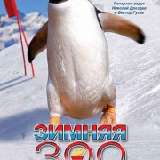 BBC: ������ ���-��������� / Animal Winter Olympics