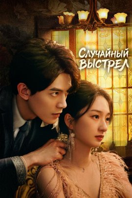Случайный выстрел / Accidental Firing смотреть онлайн