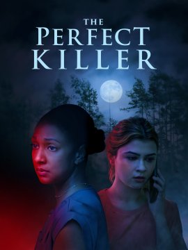 ������ ������ / The Perfect Killer