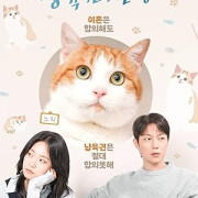 ������� ����� / Catstody War