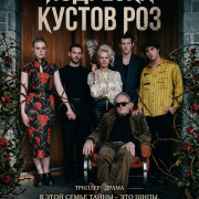 �������� ������ ��� / Rosebush Pruning