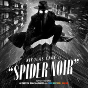 ����-���� (�/� ������) / Spider-Noir ��� �����