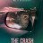 ������ /  The Crash