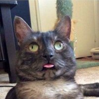������