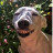 ������