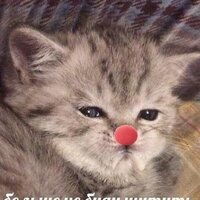������