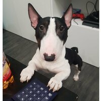 ������