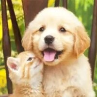 ������