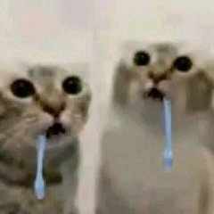 ������