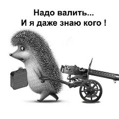 ������