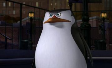 3 пингвина из мадагаскара. Шкипер мадагаскар 3. Пингвины из мадагаскара 3 пингвина. Маленький шкипер пингвины из мадагаскара. Пингвины мадагаскара 3.