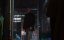 ����� 3 / Species III - �����