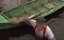   / Frankenfish - 