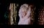   .   /    / The Slipper and the Rose: The Story of Cinderella - 