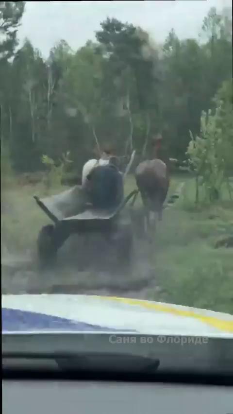 ������