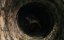  / Atrocious / Atrocious: terror paranormal - 
