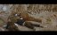 ����� ������ ���������� / Durchs wilde Kurdistan - �������