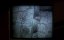  4 / Critters 4 - 
