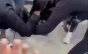 ��������� � ��������