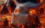   / Daisy Quokka: World's Scariest Animal -   