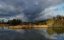 :    / Bohemia: A Year in the Wetlands - 