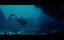    /   / Blueback -   