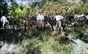    / Historys Greatest Mysteries - 6 , 16 
