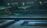   / Stellar Transformation - 6 , 21 