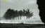    :  / Ultimate Disaster Tsunami - 