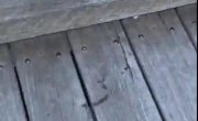 ������� ��������� �����