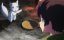������, ���������� ��������� � ��� �� ����� ��� ������, � (���������) ���������? / Saikyou no Shokugyou wa Yuusha demo Kenja demo Naku Kanteishi (Kari) Rashii desu yo? - 1 �����, 11 �����