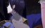  ,    / Shi Ye Mo Wang - 1 , 23 