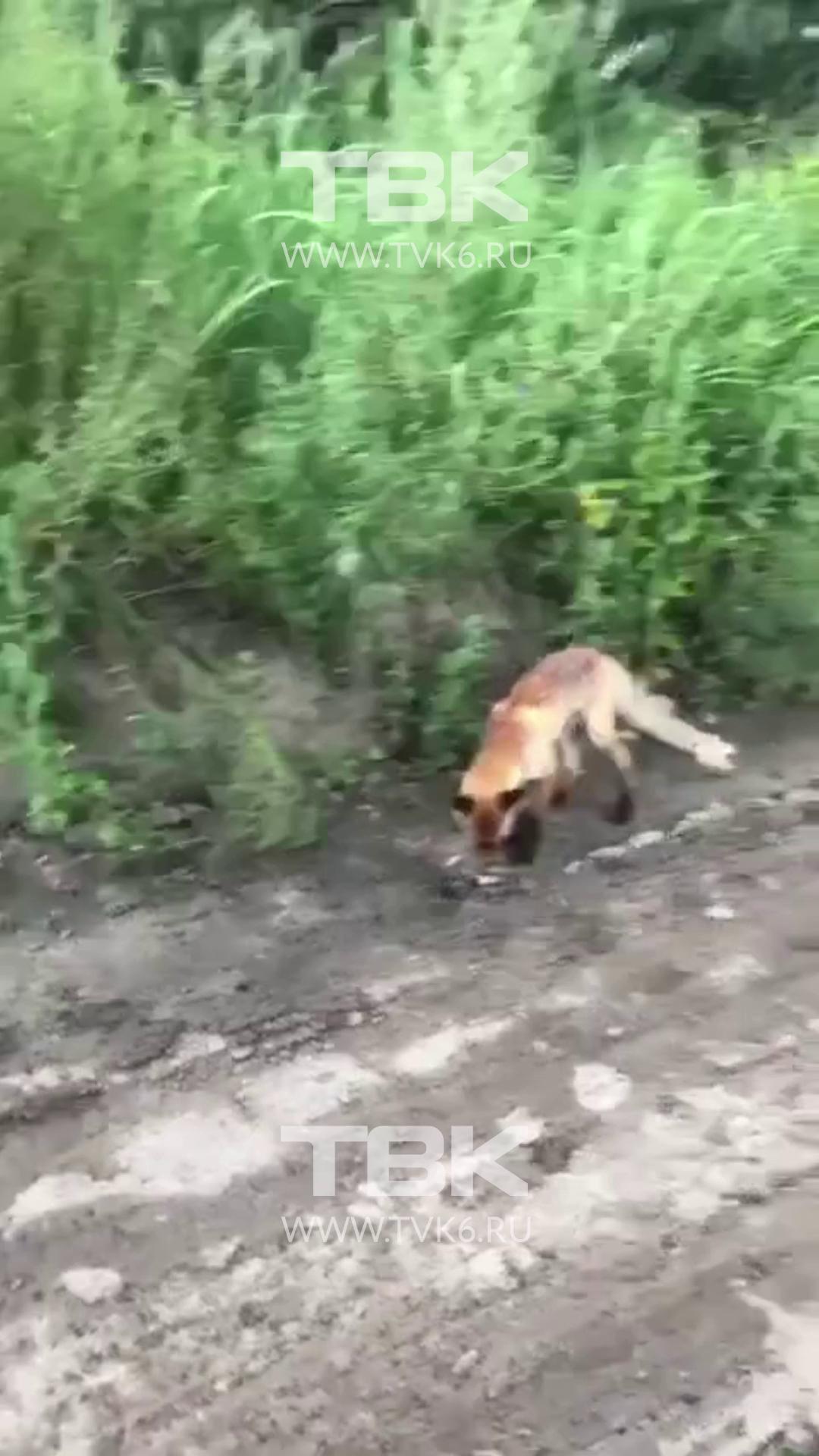 ������