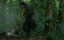   / Blood Monkey - 