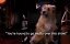   ! / Annie Live! - 