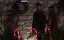     / The Most Colorful Time of the Year - 