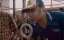 - -   / Talladega Nights: The Ballad of Ricky Bobby - 