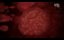 ������� ������ ����: ������������� ������ / Monsters Inside Me: Cold Blooded Killers - �������
