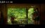    / Ai quan qi yuan / Shen Chuan Ai Qing Gu Shi / Puppy Love -  3