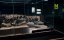    / Dinosaur Cold Case - 