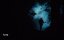  / The Tripper - 