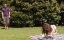    / Scenes of a Sexual Nature - 